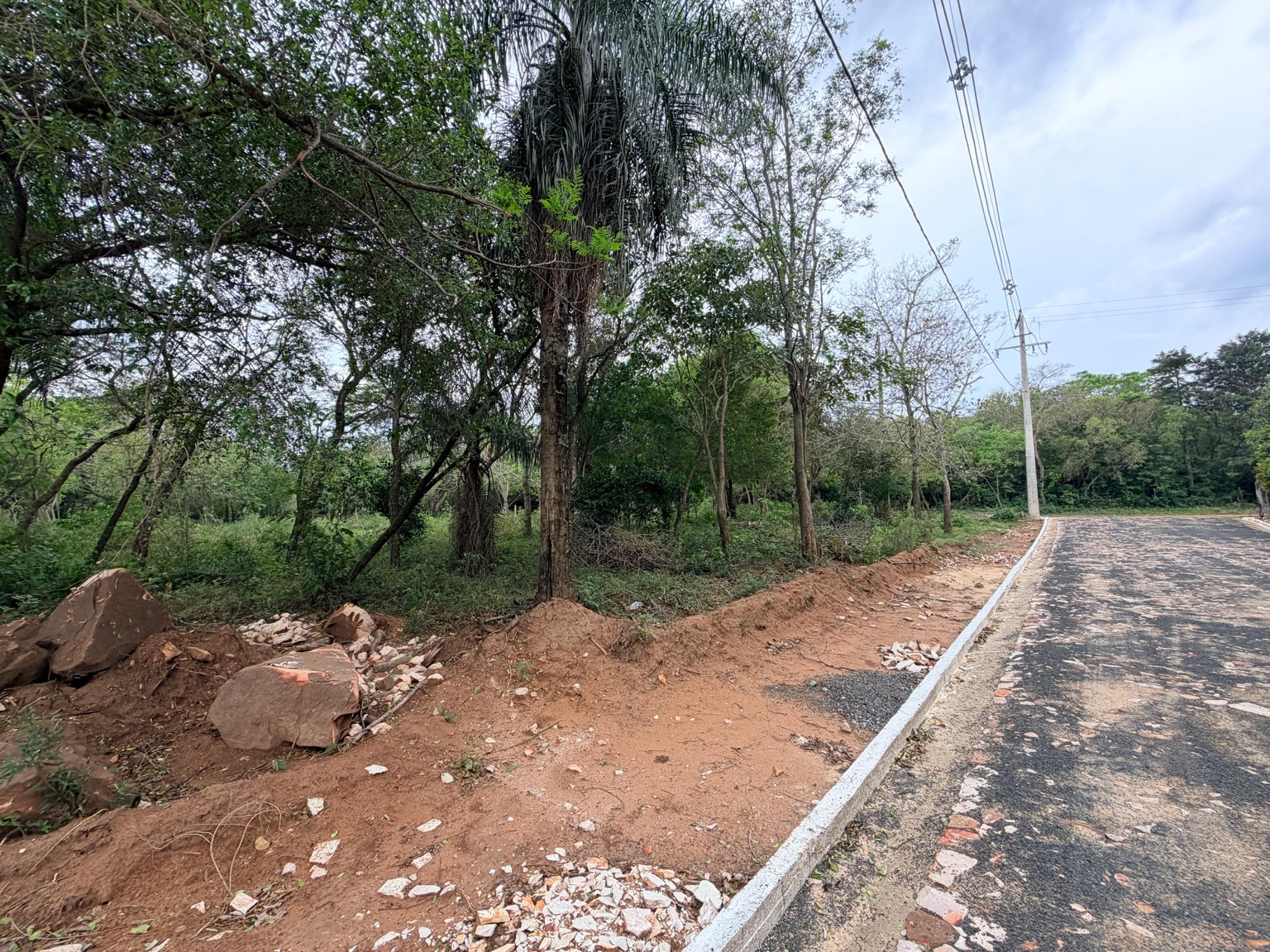 Entorno arbolado