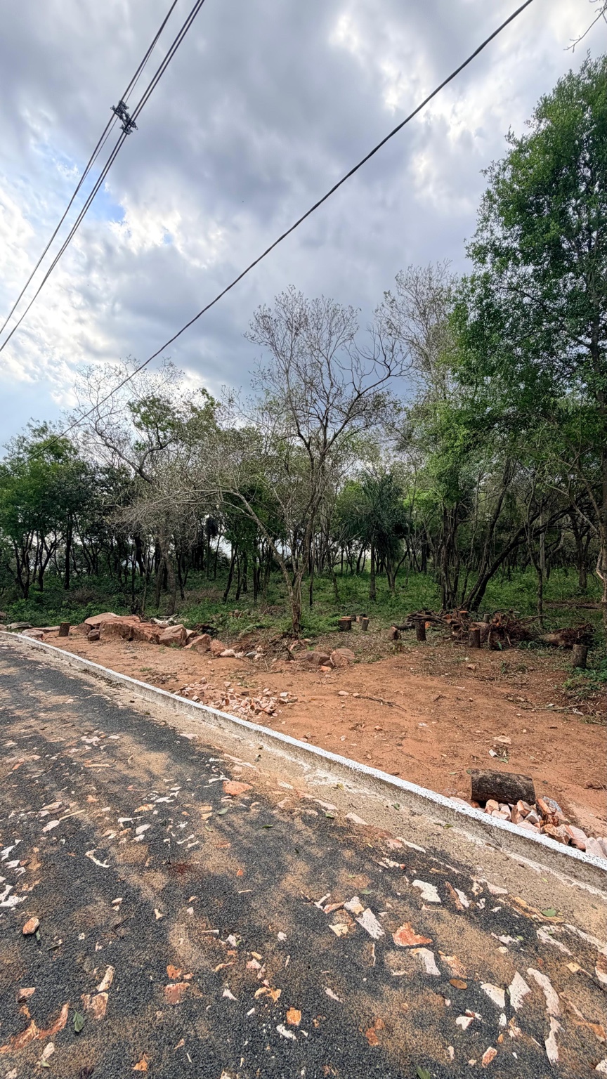 Camino y servicios